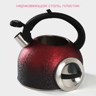 Чайник со свистком из нержавеющей стали Доляна Snow, 3 л, индукция, цвет красный - фото 4296045