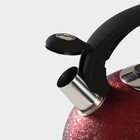 Чайник со свистком из нержавеющей стали Доляна Snow, 3 л, индукция, цвет красный - Фото 4