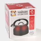 Чайник со свистком из нержавеющей стали Доляна Snow, 3 л, индукция, цвет красный - Фото 7
