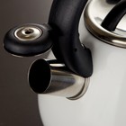 Чайник со свистком из нержавеющей стали Доляна Magic flore, 3 л, с индикатором нагрева, индукция - Фото 2