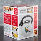 Чайник со свистком из нержавеющей стали Доляна Magic flore, 3 л, с индикатором нагрева, индукция - Фото 6