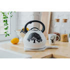 Чайник Доляна Magic forest, 3 л, со свистком, с индикатором нагрева, индукция, нержавеющая сталь, белый - Фото 9