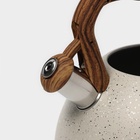 Чайник Magistro Stone, 2.7 л, со свистком, ручка soft-touch, индукция, нержавеющая сталь, бежевый - Фото 4