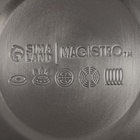 Чайник Magistro Stone, 2.7 л, со свистком, ручка soft-touch, индукция, нержавеющая сталь, бежевый - Фото 6