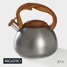 Чайник со свистком из нержавеющей стали Magistro Stone, 2,7 л, ручка soft-touch, индукция, цвет серый - фото 8930762