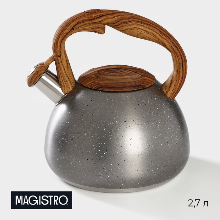 Чайник со свистком из нержавеющей стали Magistro Stone, 2,7 л, ручка soft-touch, индукция, цвет серый - Фото 1
