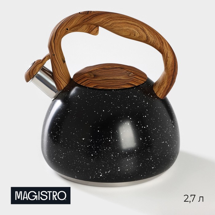 Чайник со свистком из нержавеющей стали Magistro Stone, 2,7 л, ручка soft-touch, индукция, цвет чёрный - Фото 1