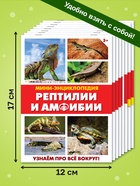 Мини - энциклопедии «Мир животных», 8 шт. по 20 стр. - Фото 2