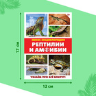 Мини-энциклопедии «Мир животных», 8 шт. по 20 стр. - фото 6266868