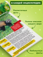 Мини - энциклопедии «Мир животных», 8 шт. по 20 стр. - Фото 3