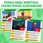 Мини-энциклопедии «Мир животных», 8 шт. по 20 стр. - фото 6266869