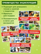 Мини - энциклопедии «Мир животных», 8 шт. по 20 стр. - Фото 5