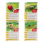 Мини - энциклопедии «Мир животных», 8 шт. по 20 стр. - Фото 7