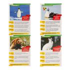 Мини - энциклопедии «Мир животных», 8 шт. по 20 стр. - Фото 8