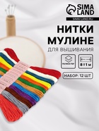 Набор ниток мулине №19, 8 ± 1 м, 12 шт. - Фото 1
