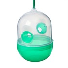 Ловушка для насекомых, 12×8×8 см, зелёная, Greengo - Фото 2