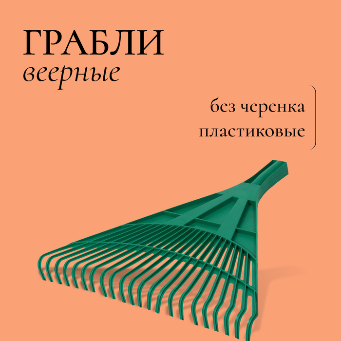 Грабли веерные, пластинчатые, 22 зубца, пластик, тулейка 24 мм, без черенка - Фото 1