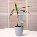 Автополив для комнатных растений: 2 шт. - 13,5 см, 2 шт. - 8,5 см, 2 кнопки , Greengo - Фото 1