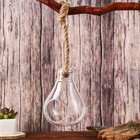 Флорариум "Лампа" с веревкой, d отв-5 см 9х9х13 см - фото 24710630