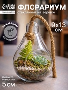 Флорариум «Лампа», с веревкой, d отверстия 5 см, 9×9×13 см, стекло, прозрачный - Фото 1