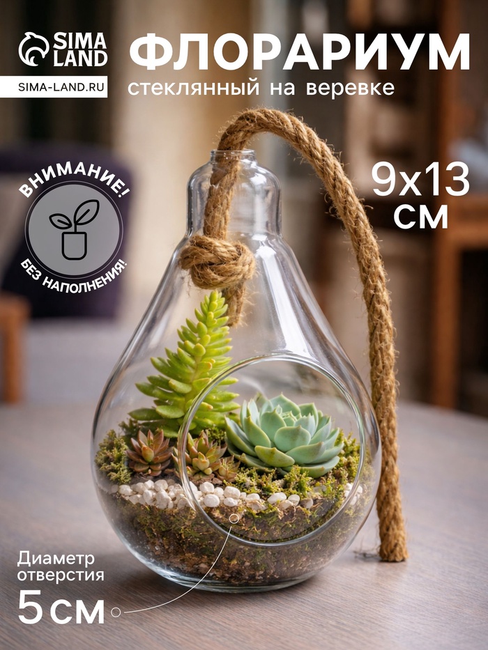 Флорариум «Лампа», с веревкой, d отверстия 5 см, 9×9×13 см, стекло, прозрачный - Фото 1
