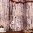 Флорариум «Лампа», с веревкой, d отверстия 5 см, 9×9×13 см, стекло, прозрачный - Фото 2