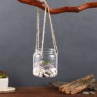 Флорариум «Баночка», с верёвкой, 8×8×9 см, стекло, прозрачный - Фото 2