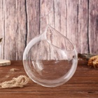 Флорариум «Шар капля», с верёвкой, 12×12×13 см, стекло, прозрачный  (артикул 4642782)  большой выбор товаров оптом и в розницу по низким ценам с доставкой