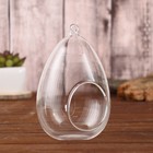 Флорариум «Каплевидная», d отв-5.5 см, 9×9×16 см - Фото 1