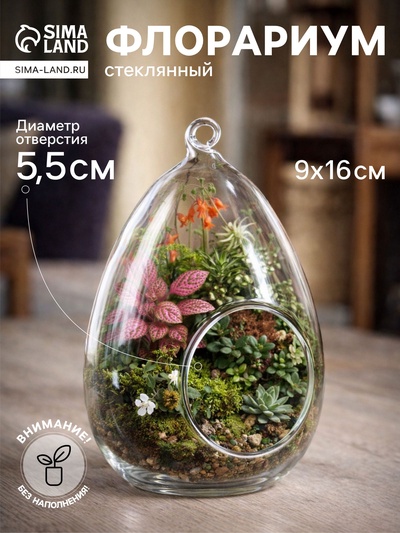 Флорариум «Каплевидная», d отв-5.5 см, 9×9×16 см