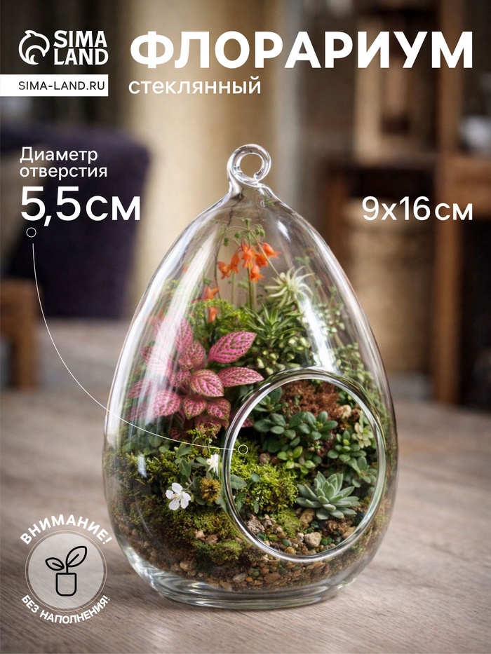 Флорариум «Каплевидная», d отв-5.5 см, 9×9×16 см - Фото 1