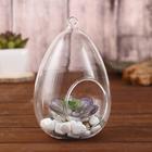 Флорариум «Каплевидная», d отв-5.5 см, 9×9×16 см - Фото 2