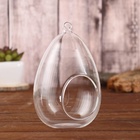 Флорариум «Каплевидная», d отв-5.5 см, 9×9×16 см - Фото 2