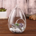 Флорариум «Каплевидная», d отв-5.5 см, 9×9×16 см - Фото 3