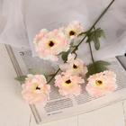 Цветы искусственные "Космея махровая" 8х58 см, белый с розовым - фото 8931500