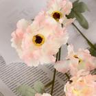 Цветы искусственные "Космея махровая" 8х58 см, белый с розовым - Фото 2