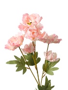 Цветы искусственные "Космея махровая" 8*58 см, белый с розовым - фото 809151193