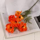 Цветы искусственные "Космея махровая" 8х58 см, оранжевый - фото 8931502