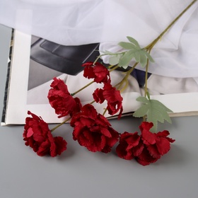 Цветы искусственные «Космея махровая», 8×58 см, бордовые