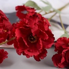 Цветы искусственные «Космея махровая», 8×58 см, бордовые - фото 53237422