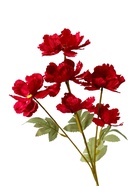 Цветы искусственные «Космея махровая», 8×58 см, бордовые - фото 53237424