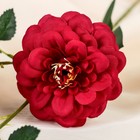 Цветы искусственные "Роза Амбра" 8*54 см, бордовый - Фото 2