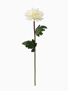 Цветы искусственные «Астра пионовидная», 17×63 см, белые - фото 59316476