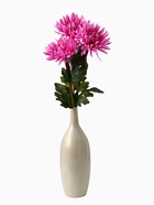 Цветы искусственные 'Астра пионовидная' 17 63 см, сиреневый - фото 809131653