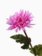 Цветы искусственные 'Астра пионовидная' 17 63 см, сиреневый - фото 809331838