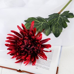 Цветы искусственные "Астра пионовидная" 17х63 см, бордовый
