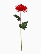 Цветы искусственные «Астра пионовидная», 17×63 см, бордовые 4642691