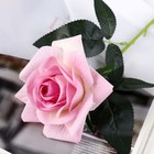 Цветы искусственные "Роза Нежный бархат" 12*55 см, розовый - Фото 1