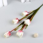 Цветы искусственные "Тюльпан Аморета" 4*90 см,( размер бутона 6х4см)  белый с малиновым - фото 2572747