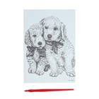 Гравюра «Щенячьи ласки» A5, с металлическим эффектом «голография» - Фото 4